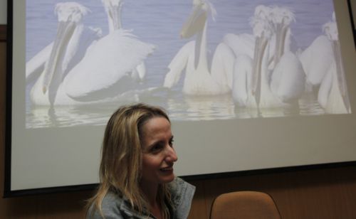 Μέχρι τις 28 Δεκεμβρίου η προθεσμία για την τακτοποίηση των ημιυπαίθριων χώρων