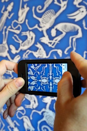 Στο Ίντερνετ από το κινητό, αν και με δισταγμό