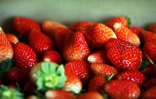 Περισσότερα γονίδια από τον άνθρωπο έχουν η φράουλα και το κακάο