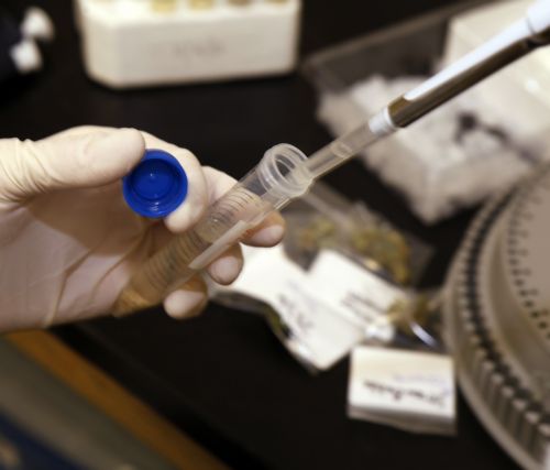 Αυξημένη η χρήση της ιατρικής κάνναβης στις ΗΠΑ