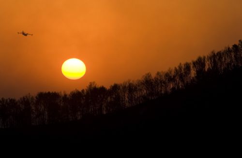 Συνεχίζεται με διεθνή αρωγή η προσπάθεια να κατασβεστεί η πυρκαγιά στο Ισραήλ