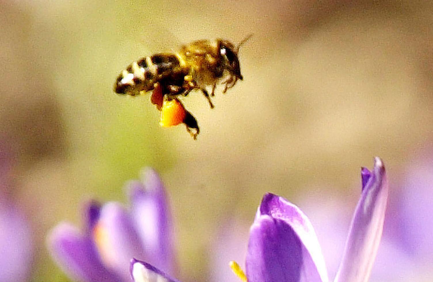Μελέτη μαθητών δημοτικού σε κορυφαία επιστημονική επιθεώρηση