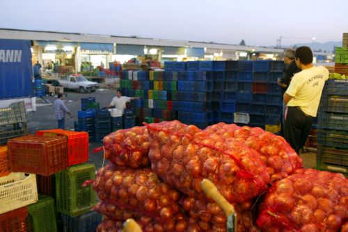 Ελέγχους για παράνομο εμπόριο οπωροκηπευτικών ζητά ο Ντίνος Ρόβλιας