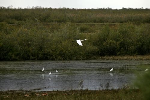 Σε επιφυλακή για πλημμύρες το νότιο τμήμα του νομού Έβρου