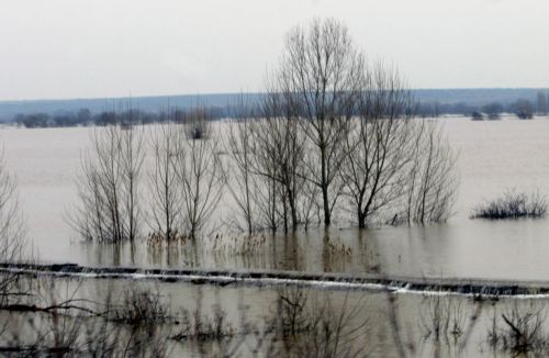 Τρεις μετανάστες νεκροί από υποθερμία στην Ορεστιάδα