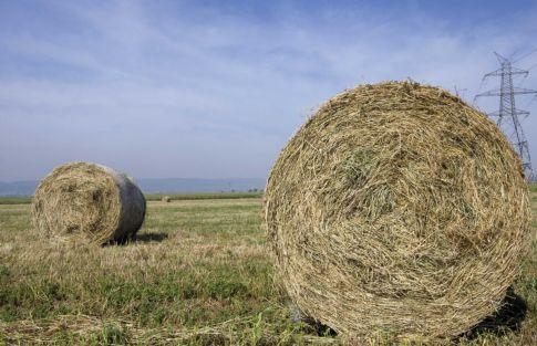 Ολοκληρώθηκε η καταβολή της ενιαίας ενίσχυσης για το 2010 στους αγρότες