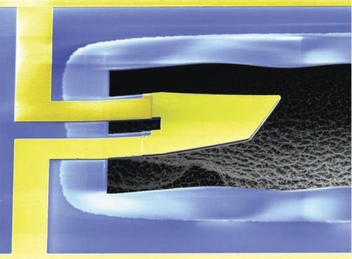 Οι κορυφαίες έρευνες του 2010 σύμφωνα με το περιοδικό Science