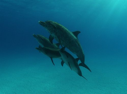 Οι ταινίες της εβδομάδας από την Πέμπτη 23 Δεκεμβρίου