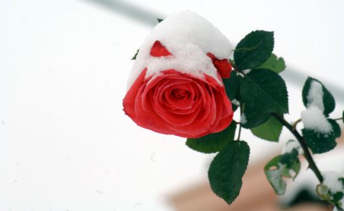 Τσουχτερό κρύο στη  βόρεια Ελλάδα με χιόνια ακόμα και στο κέντρο της Θεσσαλονίκης