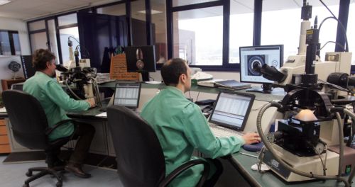 Στη δημοσιότητα οι φωτογραφίες ταυτότητας που βρέθηκαν στην κατοχή των συλληφθέντων στον Βύρωνα