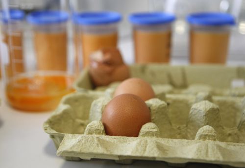 Υψηλά επίπεδα διοξίνης εντοπίστηκαν στη Γερμανία, εισαγωγές αβγών και στη Βρετανία