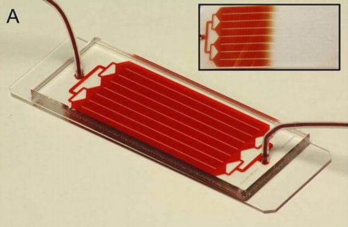 Ένα βήμα πιο κοντά η πρώτη αιματολογική εξέταση για τον καρκίνο