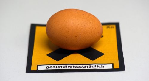 Εγχώρια εταιρεία ζωοτροφών ευθύνεται για το «σκάνδαλο της διοξίνης» στη Γερμανία