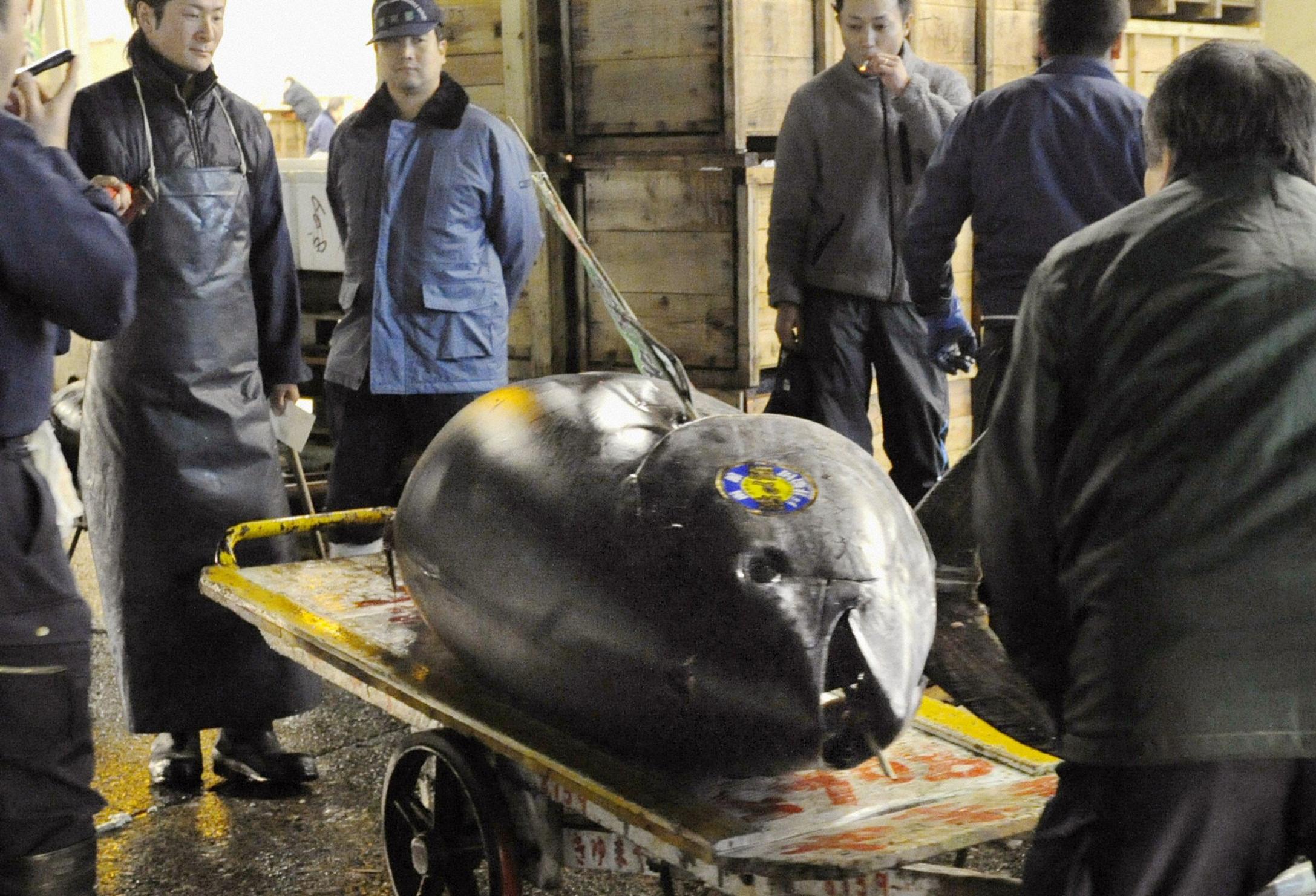 Στην τιμή-ρεκόρ των 300.000 ευρώ πουλήθηκε σπάνιος ερυθρός τόνος στο Τόκιο