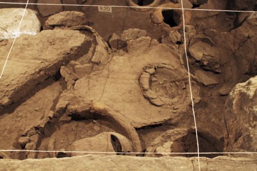 Στην Αρμενία βρέθηκε το αρχαιότερο πατητήρι στον κόσμο