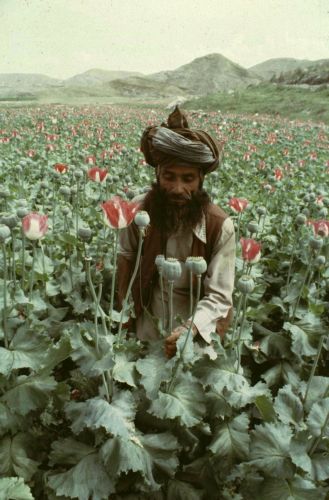 Ιράν, «ο μεγαλύτερος έμπορος ναρκωτικών στον κόσμο» κατά το Wikileaks