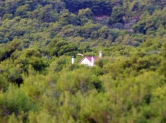 Νόμιμα τα πρόστιμα για ανέγερση και διατήρηση αυθαίρετου σε δασική έκταση