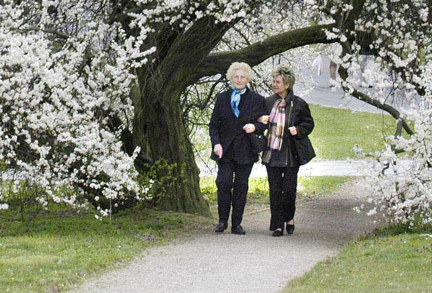 Η ταχύτητα με την οποία περπατούν οι ηλικιωμένοι «δείχνει πόσο θα ζήσουν»