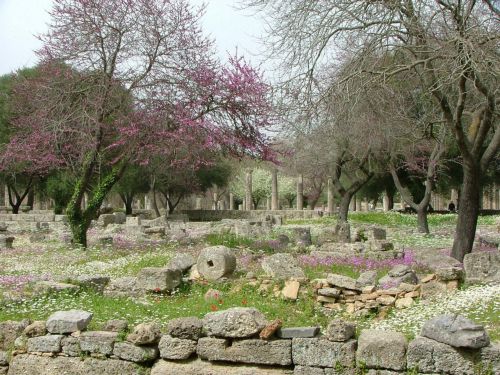 «Ολυμπιακό Βοτανικό Κήπο» αποκτά η Αρχαία Ολυμπία