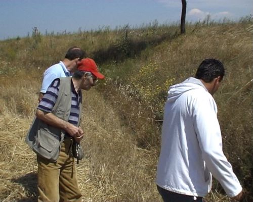 Με τις εξορύξεις της ΔΕΗ συσχετίζει έκθεση το ρήγμα στη Μαυροπηγή