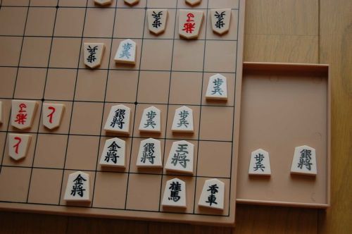 Οι μετρ του σκακιού «χρησιμοποιούν διαφορετικές περιοχές του εγκεφάλου»