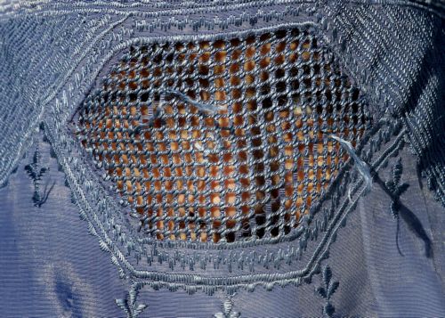 Γερμανικό κρατίδιο απαγορεύει σε δημόσιους υπαλλήλους να φορούν μπούρκα στην εργασία