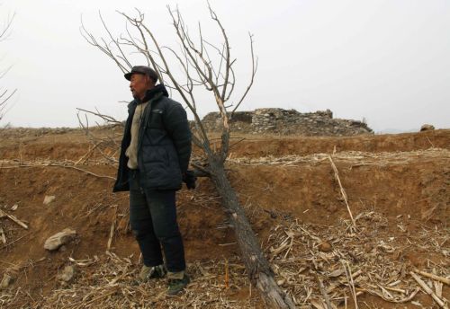 Αύξηση των τιμών των τροφίμων σε επίπεδα-ρεκόρ φέτος προβλέπει το αμερικανικό υπουργείο Γεωργίας