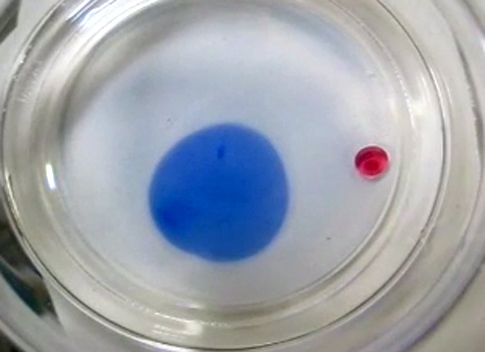 Μικρές σταγόνες λαδιού «ίσως αναπαράγουν την εμφάνιση ζωής στη Γη»