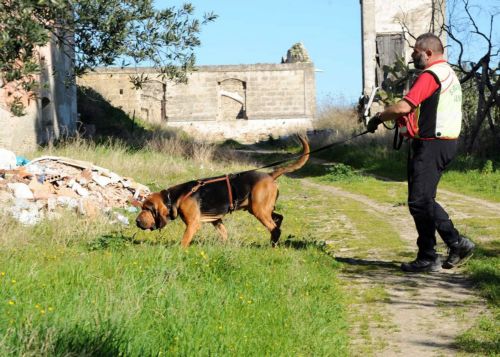 «Φόβους για το χειρότερο» εκφράζουν οι Αρχές για τις δίδυμες από την Ελβετία