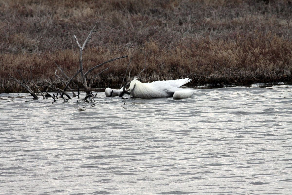 Οι γνωστοί άγνωστοι της καταστροφής