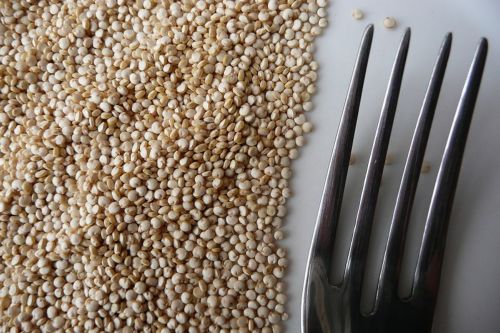 Αρχαίο δημητριακό των Ίνκας επανέρχεται ως υγιεινή πρόταση