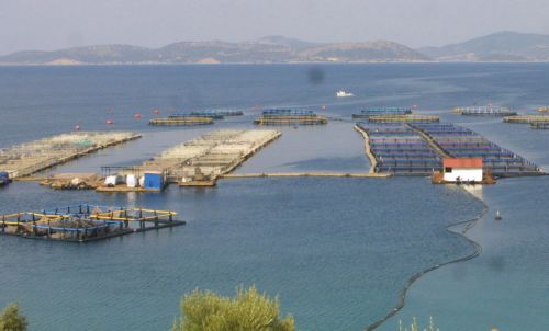 Για άσκηση κάθε νόμιμου δικαιώματος επιφυλάσσεται και η Δίας Ιχθυοκαλλιέργειες