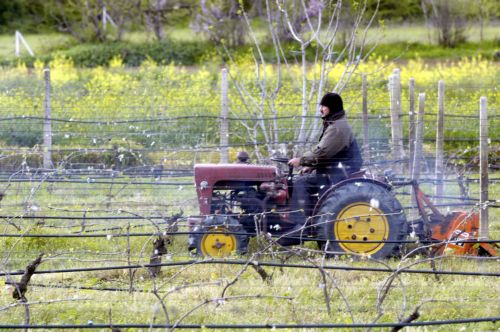 Σε διαβούλευση οι όροι της αναδιάρθρωσης των αγροτικών συνεταιρισμών