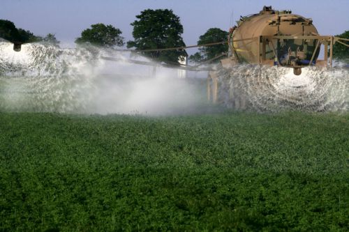 To δημοφιλέστερο ζιζανιοκτόνο «επικίνδυνο για τις καλλιέργειες και τον άνθρωπο»