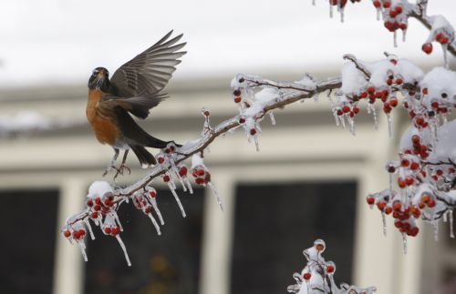 Βελτιωμένος ο καιρός το Σαββατοκύριακο, υποχωρεί το τσουχτερό κρύο