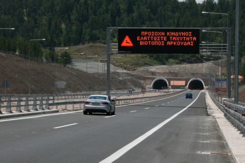 Φόρο αίματος στην άσφαλτο πλήρωσαν το 2010 τρεις αρκούδες και πέντε λύκοι