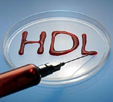 Ρόλο στη μακροζωία παίζει η HDL χοληστερόλη