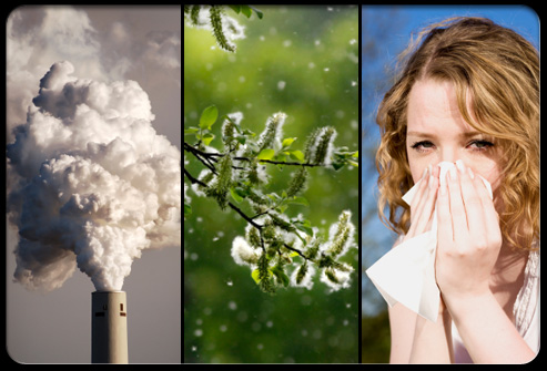 Αίτια και εκλυτικοί παράγοντες του άσθματος