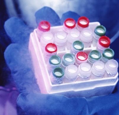 Χωρίς διαπίστευση και αδειοδότηση οι Τράπεζες Βλαστοκυττάρων στην Ελλάδα