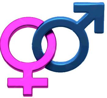 Η ερωτική πράξη