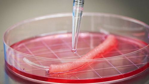 Μετά την ουροδόχο κύστη εργαστηρίου, ήρθε η σειρά της ουρήθρας