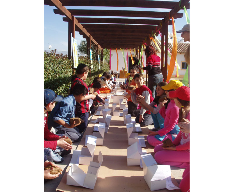 Τα «Χελιδονίσματα 2011» της Ορνιθολογικής Εταιρείας