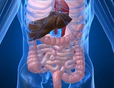 «Γονιμότητα και Εγκυμοσύνη στις Ιδιοπαθείς Φλεγμονώδεις Νόσους του Εντέρου (ΙΦΝΕ) ‐ Ελκώδη Κολίτιδα και Νόσο του Crohn»