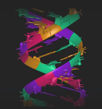 Τα μυστικά του DNA