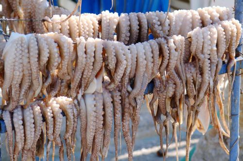 Με μέτρο τα νηστίσιμα της Καθαράς Δευτέρας συνιστούν οι ειδικοί