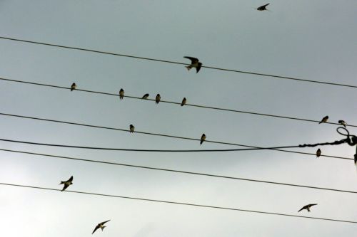 Αύξηση στην κατανάλωση ηλεκτρικής ενέργειας τον Φεβρουάριο για πρώτη φορά μετά από δύο χρόνια