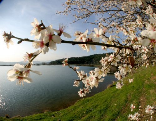 Ανοιξιάτικος καιρός με ηλιοφάνεια και κανονικές για την εποχή θερμοκρασίες