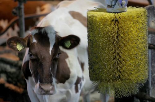 Ίχνη ραδιενεργού ιωδίου σε γάλα στις Ηνωμένες Πολιτείες