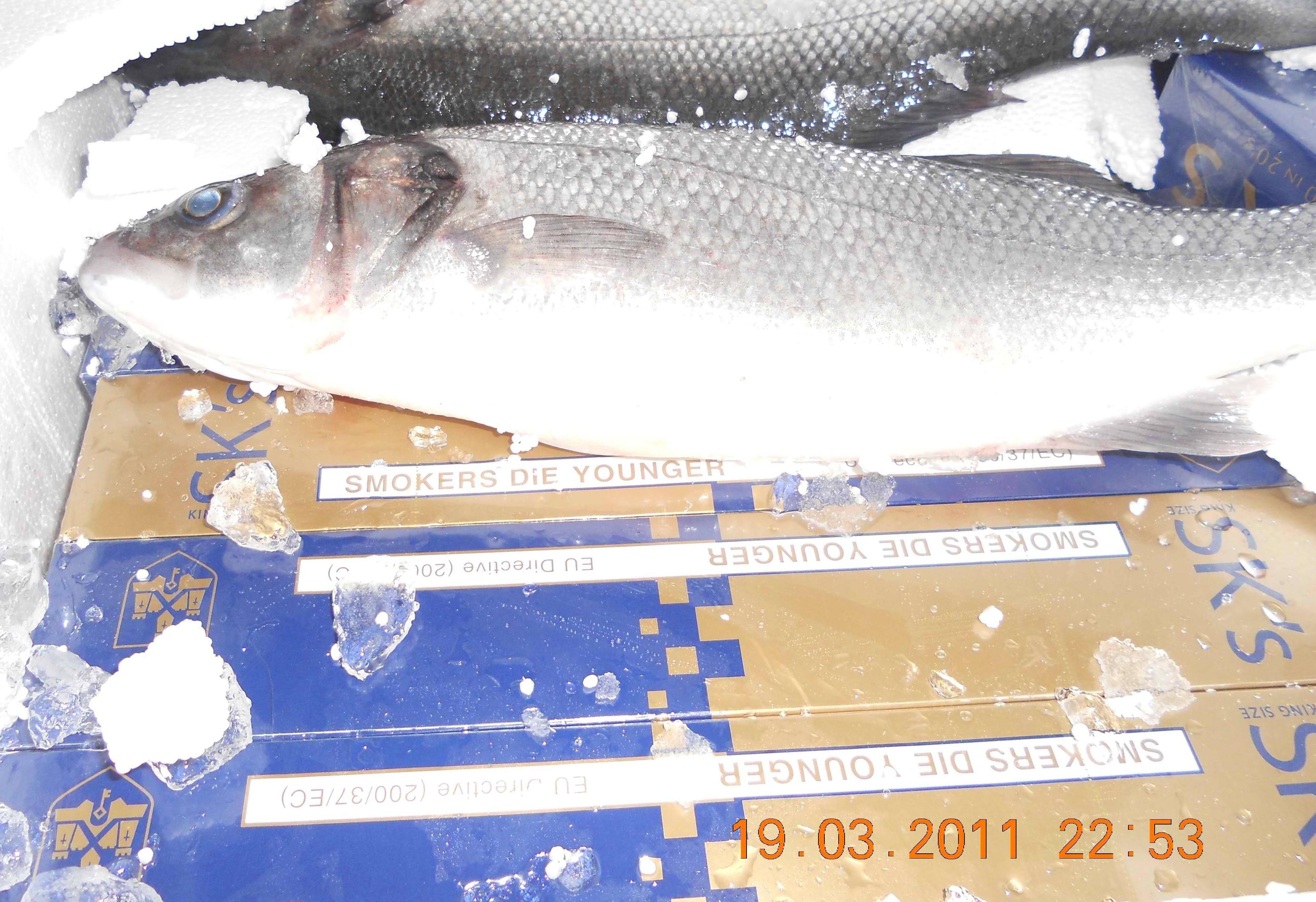 Μεγάλες ποσότητες λαθραίων τσιγάρων κατασχέθηκαν σε Πειραιά και Ηγουμενίτσα