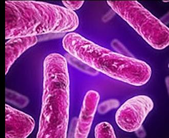 Παγκόσμια Ημέρα κατά της Φυματίωσης: Η «νόσος των φτωχών»